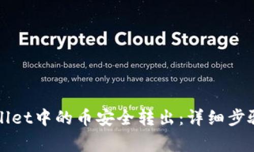 如何将TPWallet中的币安全转出：详细步骤与注意事项