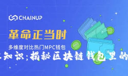区块链钱包基本知识：揭秘区块链钱包里的密钥与数字货币