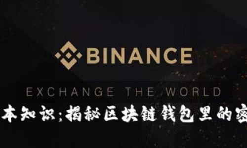 区块链钱包基本知识：揭秘区块链钱包里的密钥与数字货币