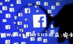 如何防止TPWallet中的BNB被盗：安全防护指南