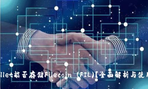 TPWallet能否存储Filecoin (FIL)？全面解析与使用指南