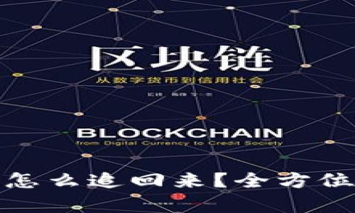 tpwallet币被盗怎么追回来？全方位解析与应对措施