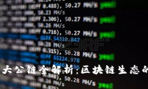 TPWallet的19大公链全解析：区块链生态的多样性与未来