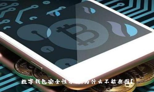 数字钱包安全性分析：为什么不能截图？