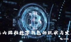 委内瑞拉数字钱包的现状