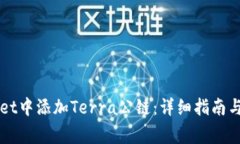 如何在TPWallet中添加Terra公链：详细指南与常见问