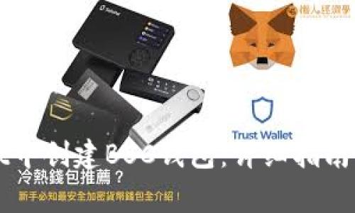 如何在TPWallet中创建BSC钱包：详细指南与常见问题解答